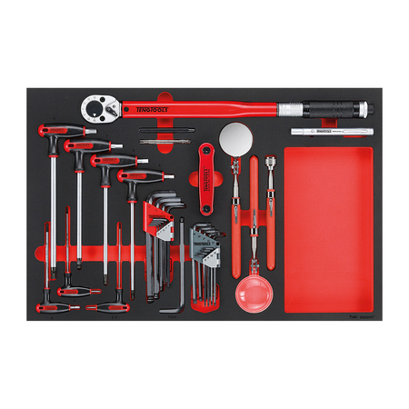 TENG TOOLS TTEX17 - 17 Piece Hex, Torque and Inspection Set in EVA TTEX17